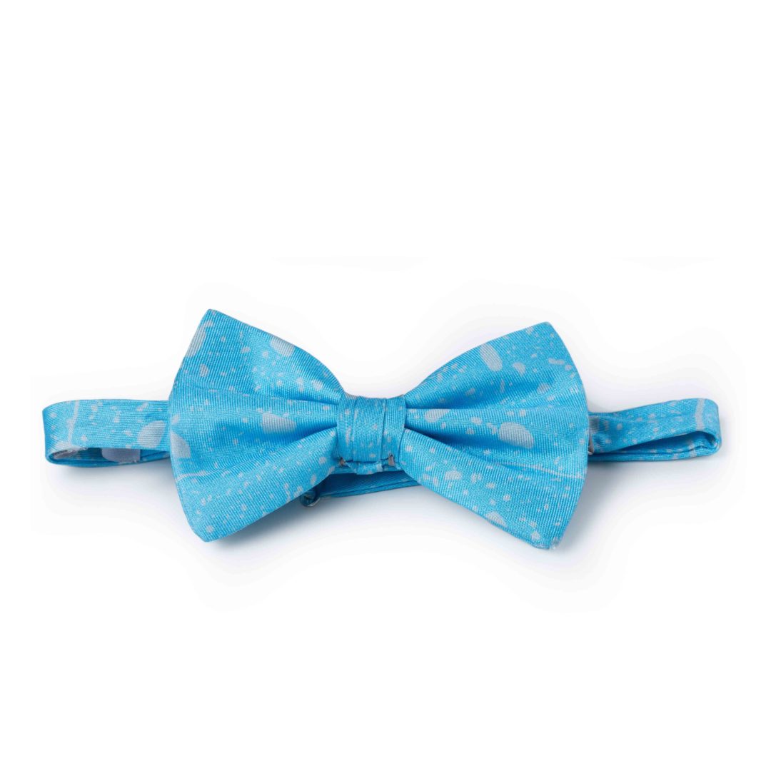 PAPILLON 13